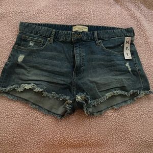 New York laundry shorts